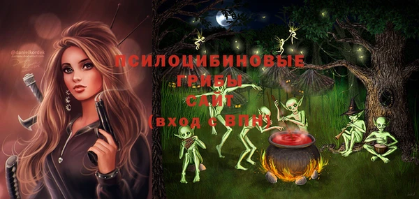 МДМА Бородино