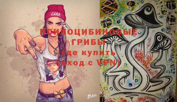 мяу мяу мука Новозыбков