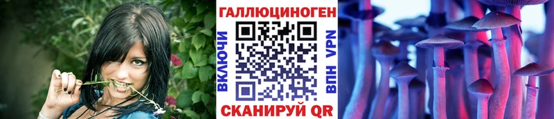 закладки  Райчихинск  Псилоцибиновые грибы ЛСД 
